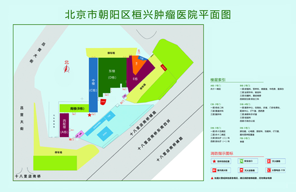 男生女生插逼视频免费看北京市朝阳区桓兴肿瘤医院平面图